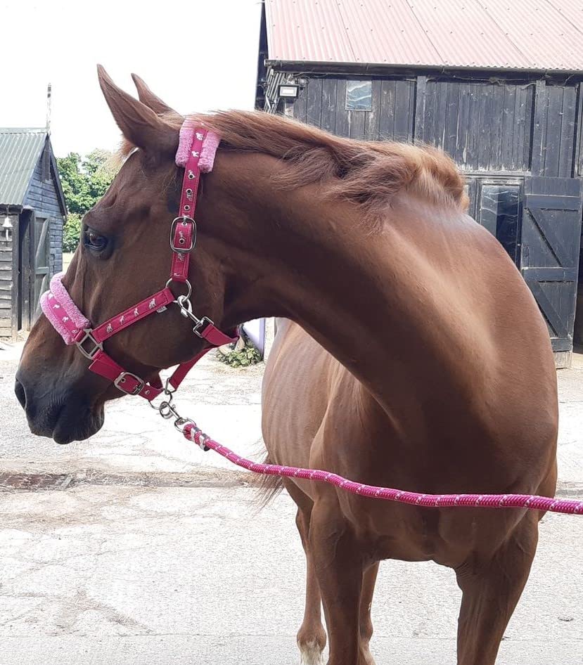 Equipride Horse Print Faux Lined Nylon Headcollars with Matching Lead Rope PINK (Cob) - PawsPlanet Australia