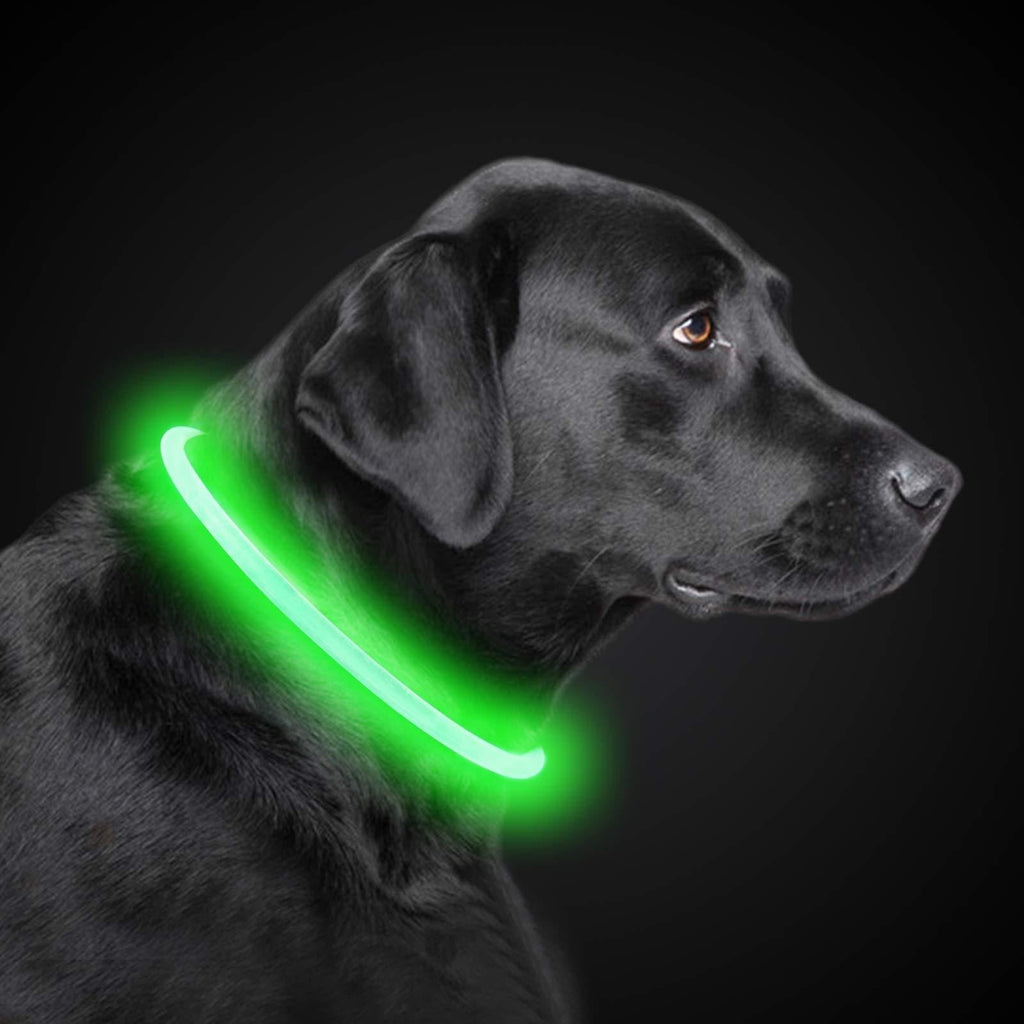 PetIsay Light up Dog Collar, 360-Degree Illumination, LED Lighted Safety Pet Dog Collar for Hiking and Night Walks - USB Rechargeable - Water Resistant - Cut to Fit Any Size - Neon Green - PawsPlanet Australia