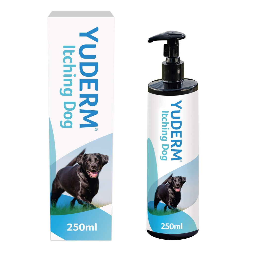 Lintbells | YuDERM Itching Dog Formerly YuMEGA | Itchy or Sensitive Skin Supplement for Dogs Prone to Scratching, All Ages and Breeds | 250 ml Bottle 250 ml (Pack of 1) Single - PawsPlanet Australia