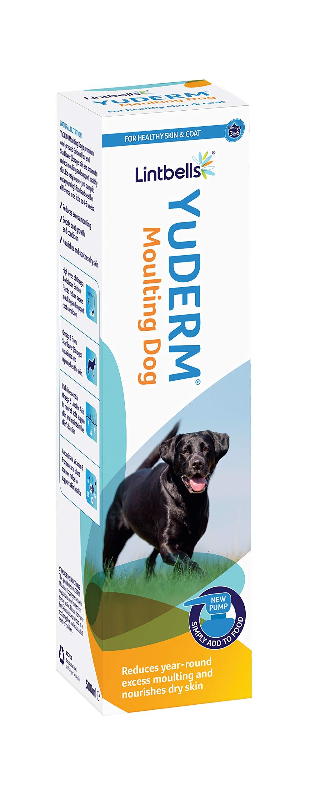 Lintbells | YuDERM Moulting Dog Formerly YuMEGA | Coat and Skin Supplement for Dogs with Dry or Dull Coats, All Ages and Breeds | 500 ml Bottle 500 ml (Pack of 1) - PawsPlanet Australia