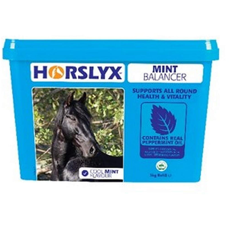 Horslyx Refill Horse Lick (5 kg) (Mint) - PawsPlanet Australia