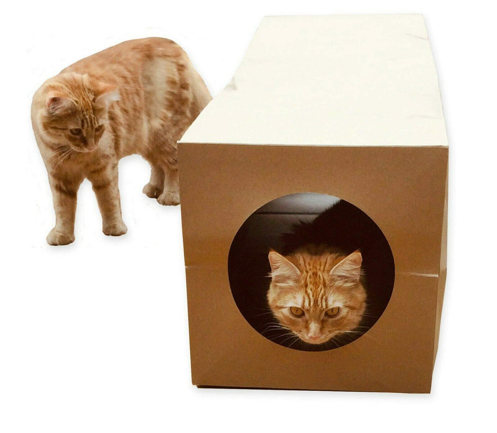 CATMAT Cat Tunnel Toy Large Heavy Duty Brown Paper Indoor Collapsible, Kittens, Small Dogs, Puppies Rabbits Tube Crinkle Sound 1m long 30cm diameter Fun! - PawsPlanet Australia