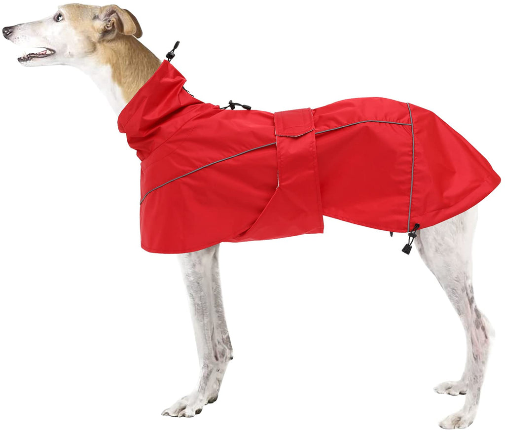 Greyhound Lurcher Raincoat, Whippet Rain Gear with Reflective Bar, Rain/Waterproof, Adjustable Bands and drawstring in Autumn and winter - Red - XS - PawsPlanet Australia