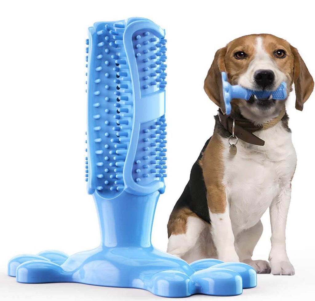 Dog Dental Care Toothbrush Stick| Teeth Cleaning Massager| Non-toxic Food Grade Rubber Toothbrush for 10-40 Pounds Dog| Effective Doggy Toy for Teeth Cleaning| Bite Resistant Puppy Toothbrush(Blue) Blue - PawsPlanet Australia