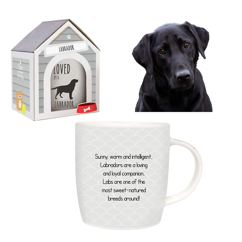 Splosh Precious Pets Mug Collection – Labrador, Grey and Black Ceramic Mug with Pet Silhouette, Gift Boxed, Dishwasher Safe - PawsPlanet Australia