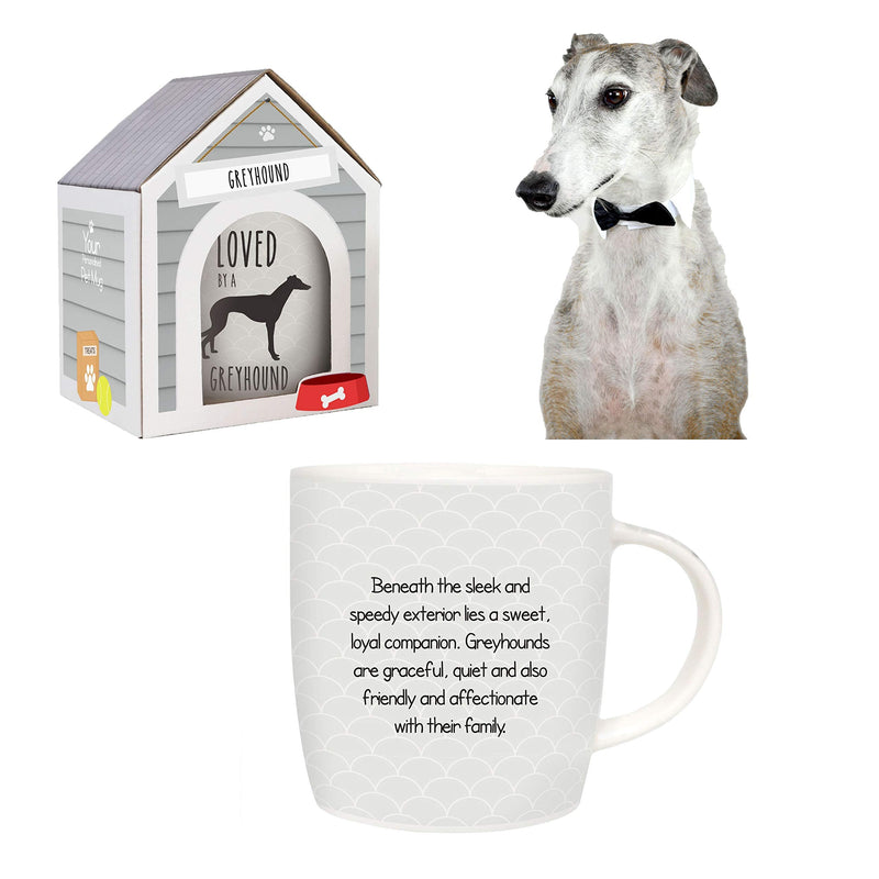 Splosh Precious Pets Mug Collection – Greyhound, Grey and Black Ceramic Mug with Pet Silhouette, Gift Boxed, Dishwasher Safe - PawsPlanet Australia