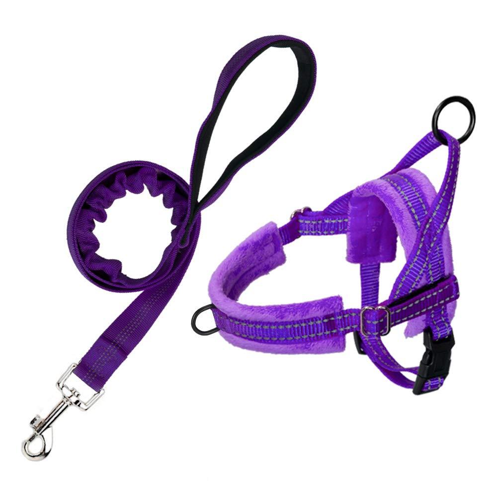 SlowTon Dog Harness and Dog Leash Set, Dog Leash Leash Quick Fit Harness Soft Padded Pet Vest Harness with Dog Leash Adjustable Reflective Car Harness and Bungee S Purple - PawsPlanet Australia