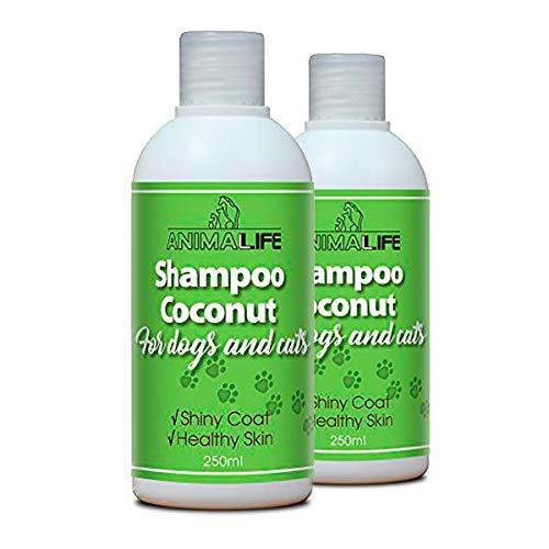 Coconut Oil Shampoo for Dogs & Cats - Set 2 * 250ml - Coconut Oil - Ethereal Tea Tree & Rosemary Oil - Nurturing - Easy Combing - Pleasant Smell - Silk Proteins - PawsPlanet Australia