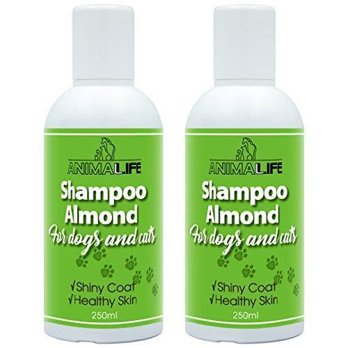 Almond Shampoo for Dogs & Cats 500ml - Almond Oil - Lavender & Japanese Mint Essential Oils - Nurturing - Easy Combing - Pleasant Smell - Shiny Coat & Healthy Skin - Silk Proteins - PawsPlanet Australia