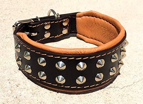 Bestia "Boston Genuine Leather Dog Collar. Studded And Soft Padded on the inside. S - 13.8 - 16.7 inch Black & Brown - PawsPlanet Australia