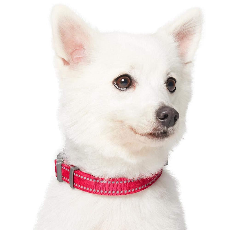 Umi. Essential Pastel Color Reflective Dog Collar in Very Berry, Small, Neck 30cm-40cm, Adjustable Collars for Dogs - PawsPlanet Australia