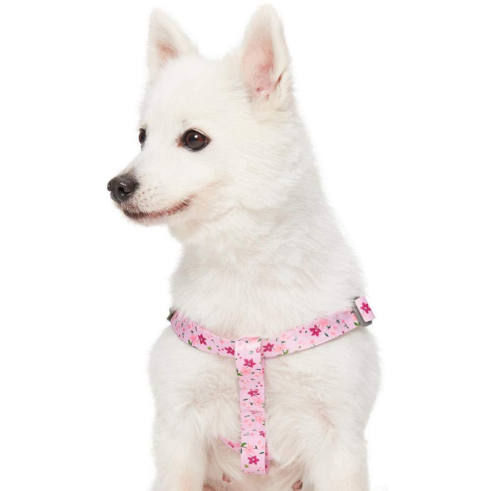 Umi. Essential Made Well Floral Dog Harness, Chest Girth 51cm-66cm, Pink, Medium, Adjustable Harnesses for Dogs - PawsPlanet Australia