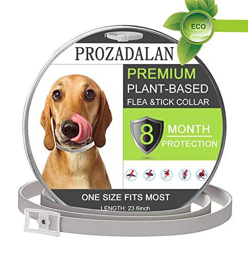 PROZADALAN Waterproof Flea Collar for Dogs, Waterproof Design and 8 Months Effective Anti-Pest Collar Adjustable Natural for Small Pets Medium Size (60 cm) - PawsPlanet Australia