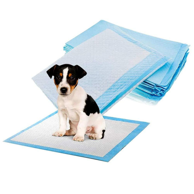 Schone Products (UK) Dog Cat Puppy Toilet Training Pads Helps your Pet Relieve Himself in Designated Area - PawsPlanet Australia