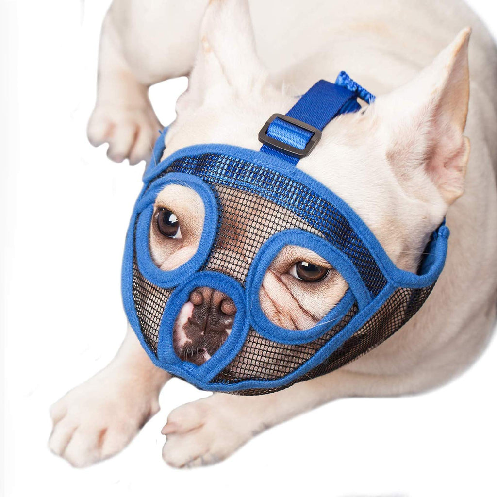 ILEPARK Dog Muzzle for Short Snout Dogs, Bulldog Muzzle Anti-Biting, Chewing, Barking, Dog Mask (M,Blue) M Blue - PawsPlanet Australia