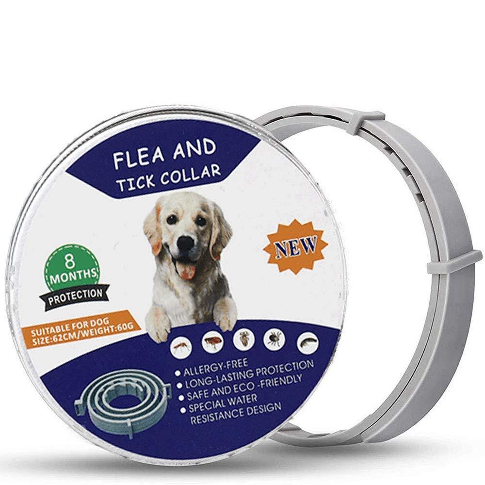 Flea And Tick Collar for Dogs, Waterproof, Anti Flea Collar Adjustable Natural & Safe, 8 Month Protection Efficiently Repellent Locust Life of Pets,Cat Non-Toxic Dog Flea Treatment [Upgrade Version] - PawsPlanet Australia