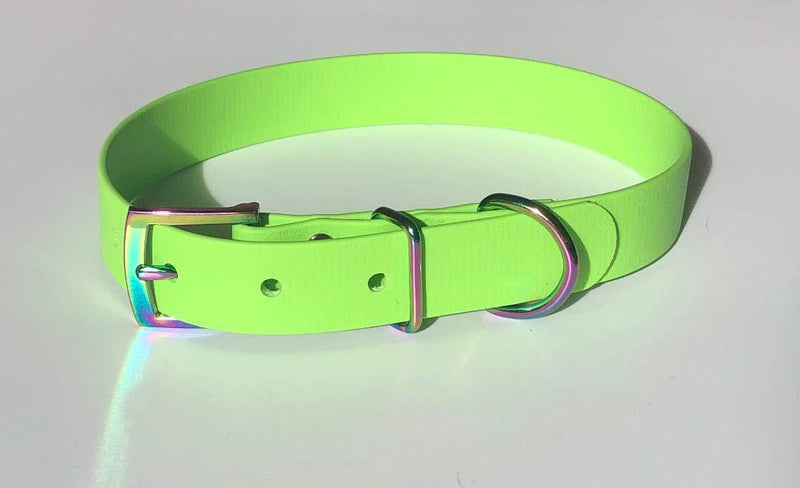 LIME GREEN BIOTHANE RAINBOW BUCKLE DOG COLLAR 13"-17" 33CM-43CM 19MM WIDE MEDIUM WATERPROOF HYPOALLERGENIC VEGAN DURABLE - PawsPlanet Australia