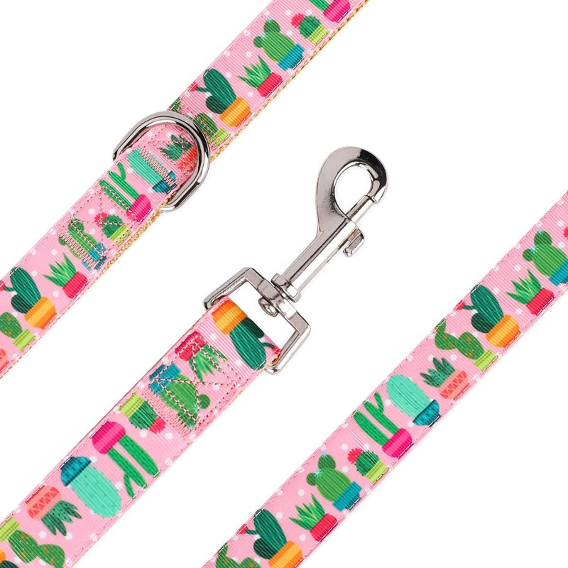 waaag Pet Supplies, (Cactus and Succulents) Cat Collar, Dog Collar, Small Dog Collar, Medium Dog Collar, Large Dog Collar (Pink Cactus Lead, M) Pink Cactus Lead - PawsPlanet Australia