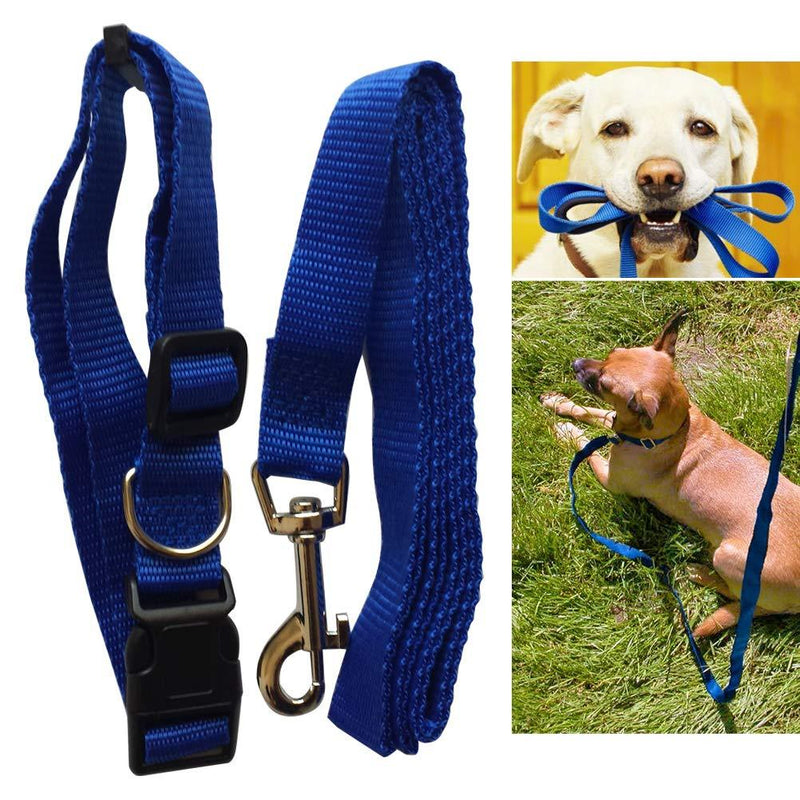 Schone Products (UK) 2pc – Nylon Dog Lead and Collar Set – BRIGHT COLOURS FOR NIGHT WALKING (Blue) Blue - PawsPlanet Australia