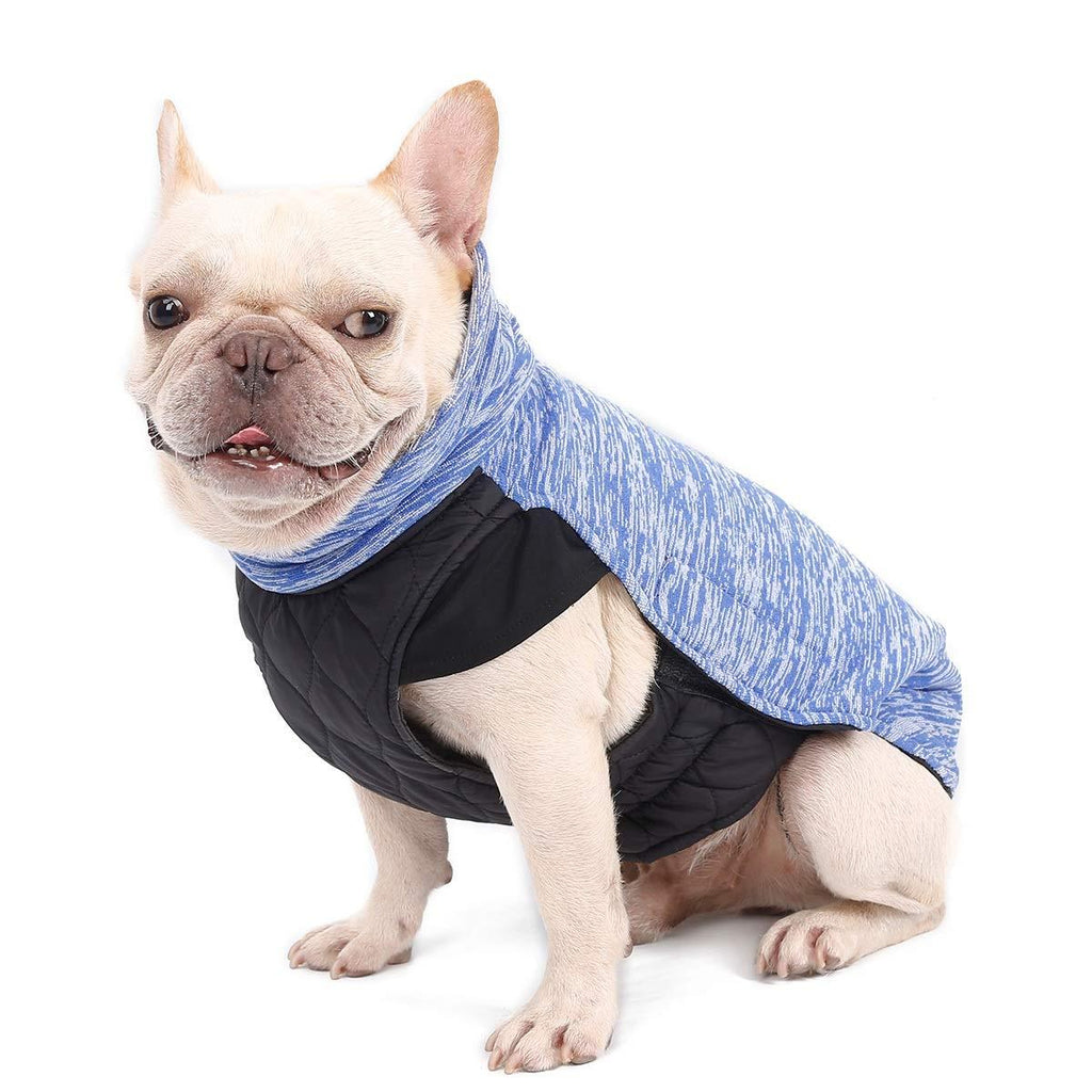 Homieco Warm Dog Coat, Autumn Winte Warm Dog Clothes, Double-sided Pet Jacket, Warm Cotton Velvet Clothing for Pet Dog - Blue M - PawsPlanet Australia