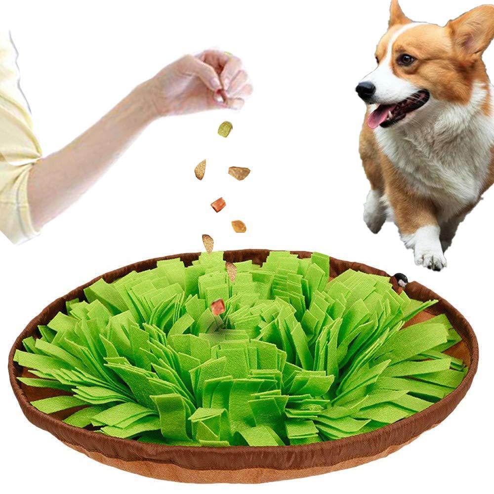 DCTOY Snuffle Mat for Dogs, Dog Feeding Mat Dog Snuffle Mat, Dog Training Mats Dog Puzzle Toy for Cats Dogs, Activity Fun Play Mat for Relieve Stress - PawsPlanet Australia