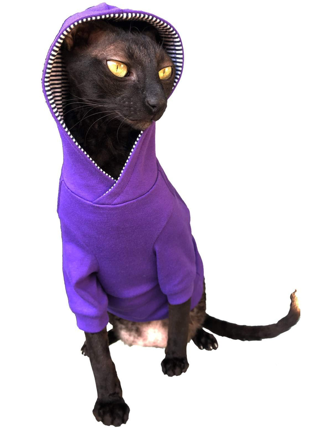 Kotomoda Sphynx Cat's Hoodie InPURPLE Naked Cat Hairless Cat Clothes (XL) XL - PawsPlanet Australia