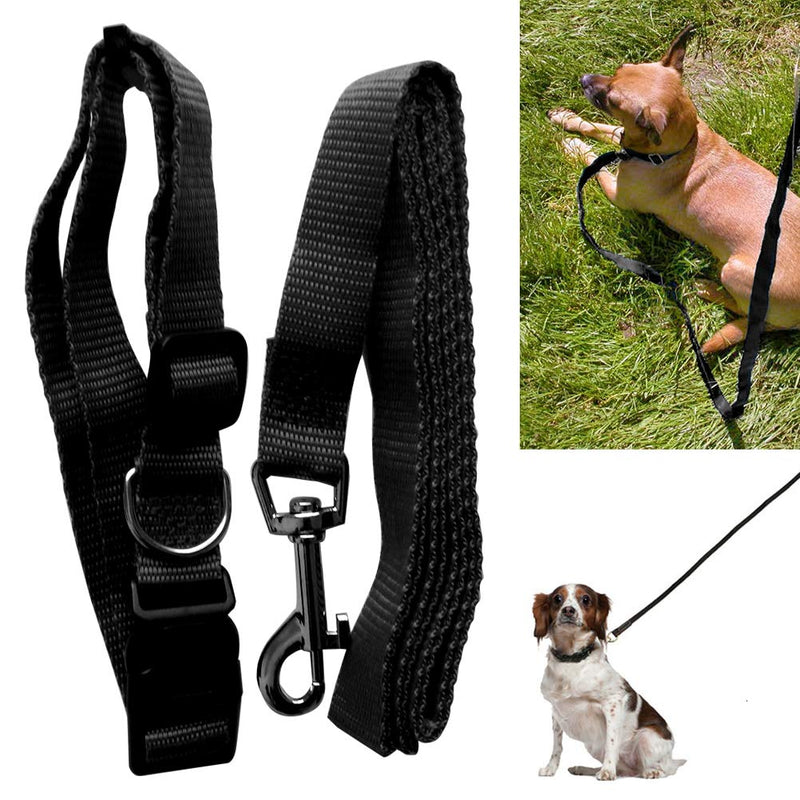 Schone Products (UK) 2 Pc – Nylon Dog and Collar set - Perfect Walking Accessory Training for your Pet - PawsPlanet Australia