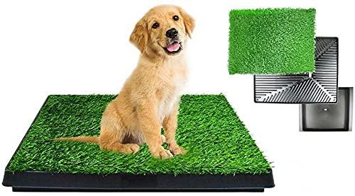 St@llion Indoor Potty Training Tray For Puppy Toilet Dog Grass Training Pad Restroom Training Mat Removable Waste Tray Potty Training with Tray - PawsPlanet Australia