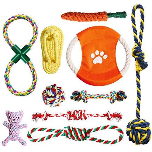 Puppy Toys 10 Pack Dog Toys for Boredom Puppy Toys from 8 Weeks for Small Dogs Safety Dog Chew Toys Dog Rope Toy Knot Puppy Teething Toy for Puppies Training - PawsPlanet Australia