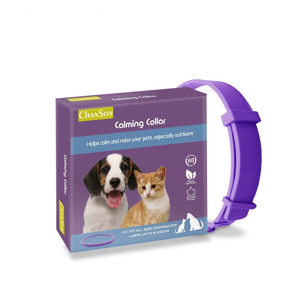 ALQFFHL Calming Collar for Dogs and Cats, Antianxiety Collar with Adjustable Size,Natural Safe Waterproof Long Lasting Calming Effect Cat and Dog Anxiety Relief,1 Pack(Small) Small 1Pack - PawsPlanet Australia