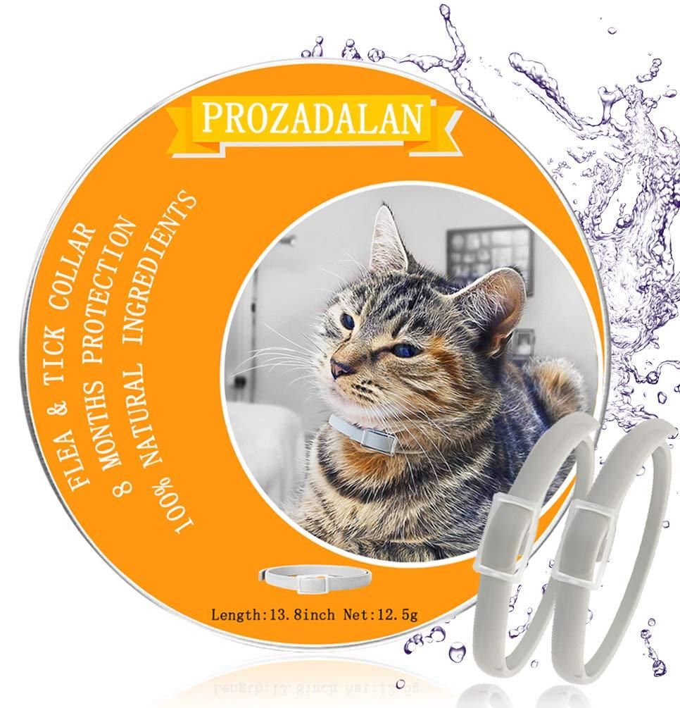 PROZADALAN Flea Collar for Cats, 100% Natural Adjustable Flea and Tick Collar for Cats, Flea Treatment for Cats, Effective Repel Lice, Fleas and Pests for Kittens, Medium-sized Cats and Large Cats 2PCS - PawsPlanet Australia