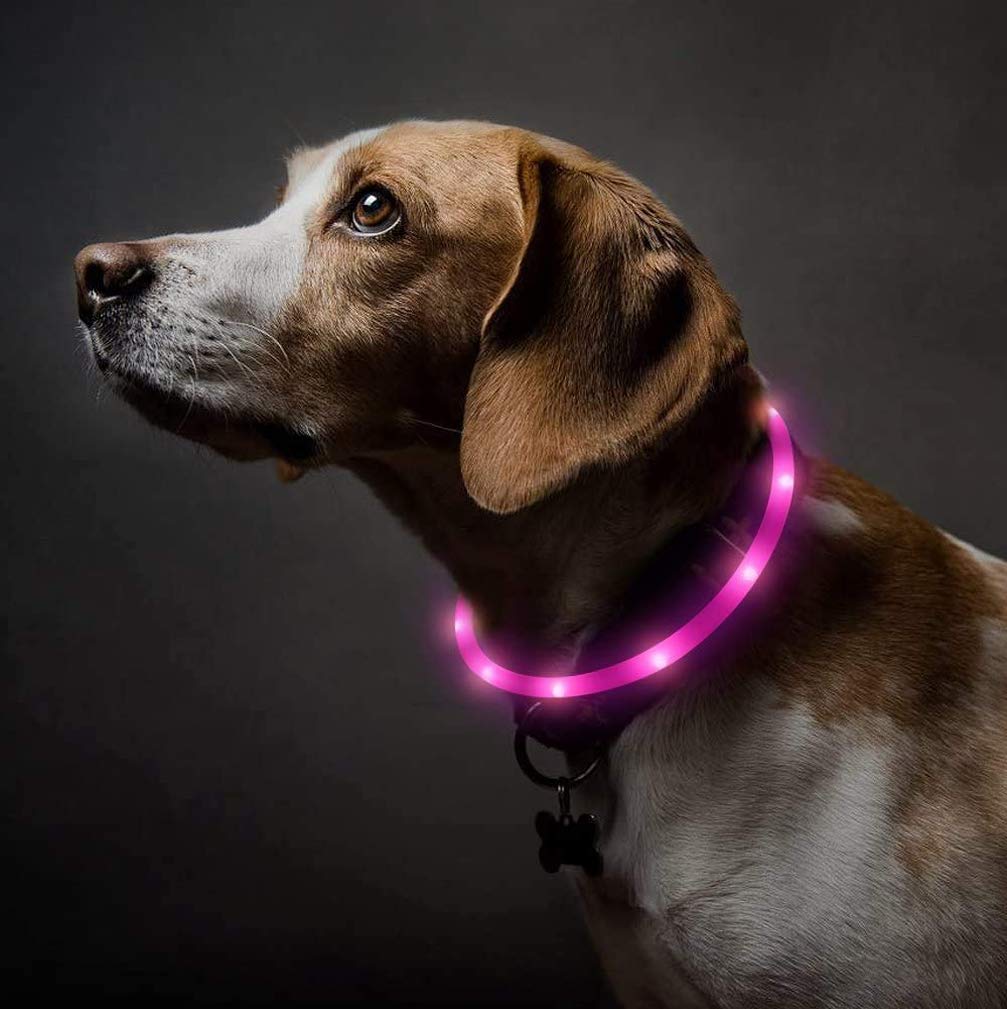 Dog Collar Light LED Pet USB Rechargeable Collar Safety Silicone Night Warning Glowing Dog Collar Luminous (Pink) Pink - PawsPlanet Australia