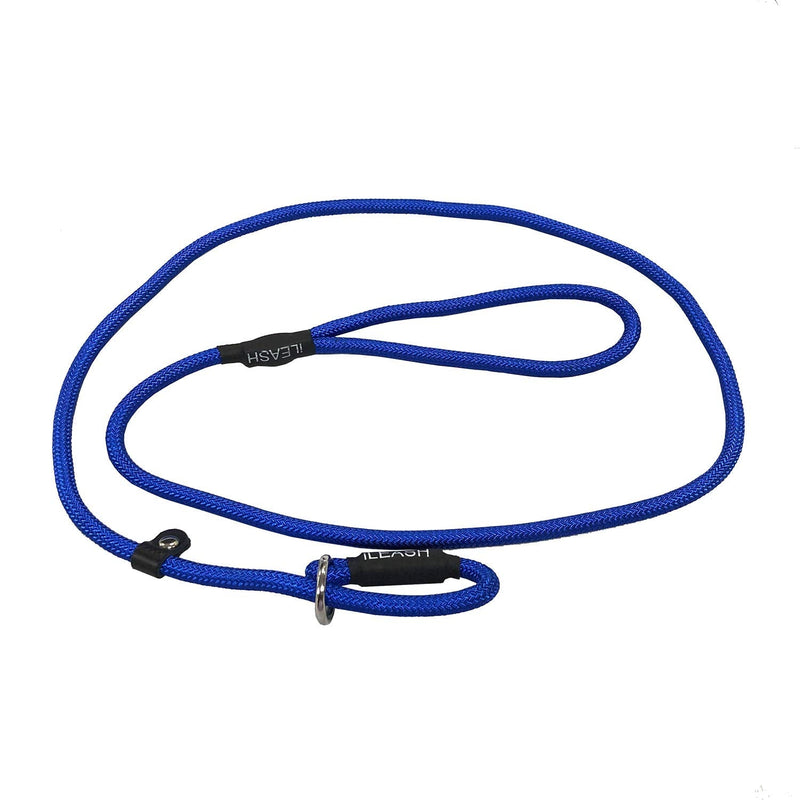 Chameleon Strong Nylon Dog Pet Lead Training Leash - 1.2m 120cm 47.2" (0.6cm, Aquamarine) 0.6cm - PawsPlanet Australia
