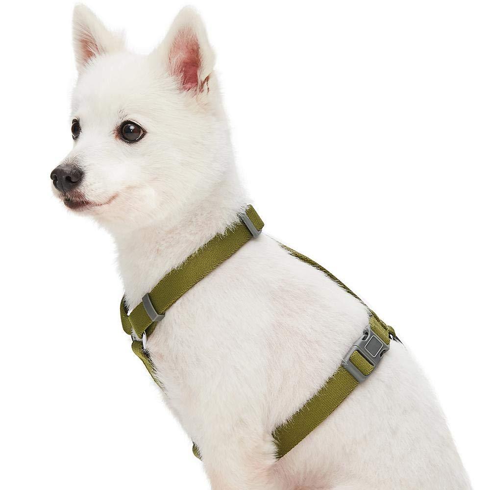 Umi. Essential Classic Solid Color Everyday Dog Harness, Olive, Medium, Adjustable Harnesses for Dogs - PawsPlanet Australia