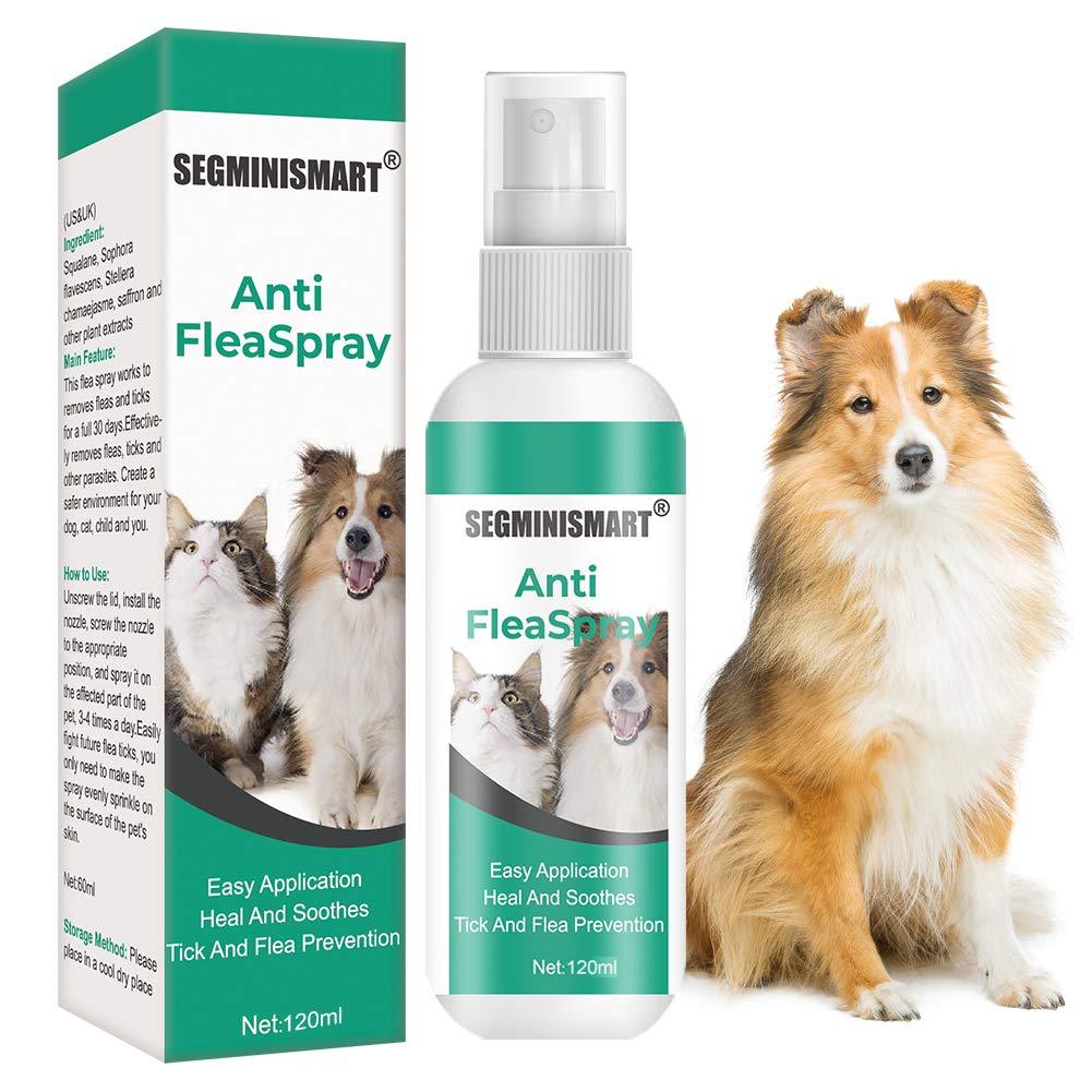 SEGMINISMART Flea Spray,Dog Fleas Protection Spray,Cat Flea Treatment,Tick and Flea Treatments for Dogs,Flea Spray For Dogs,Tick and Flea Protective for Dogs Cats - PawsPlanet Australia