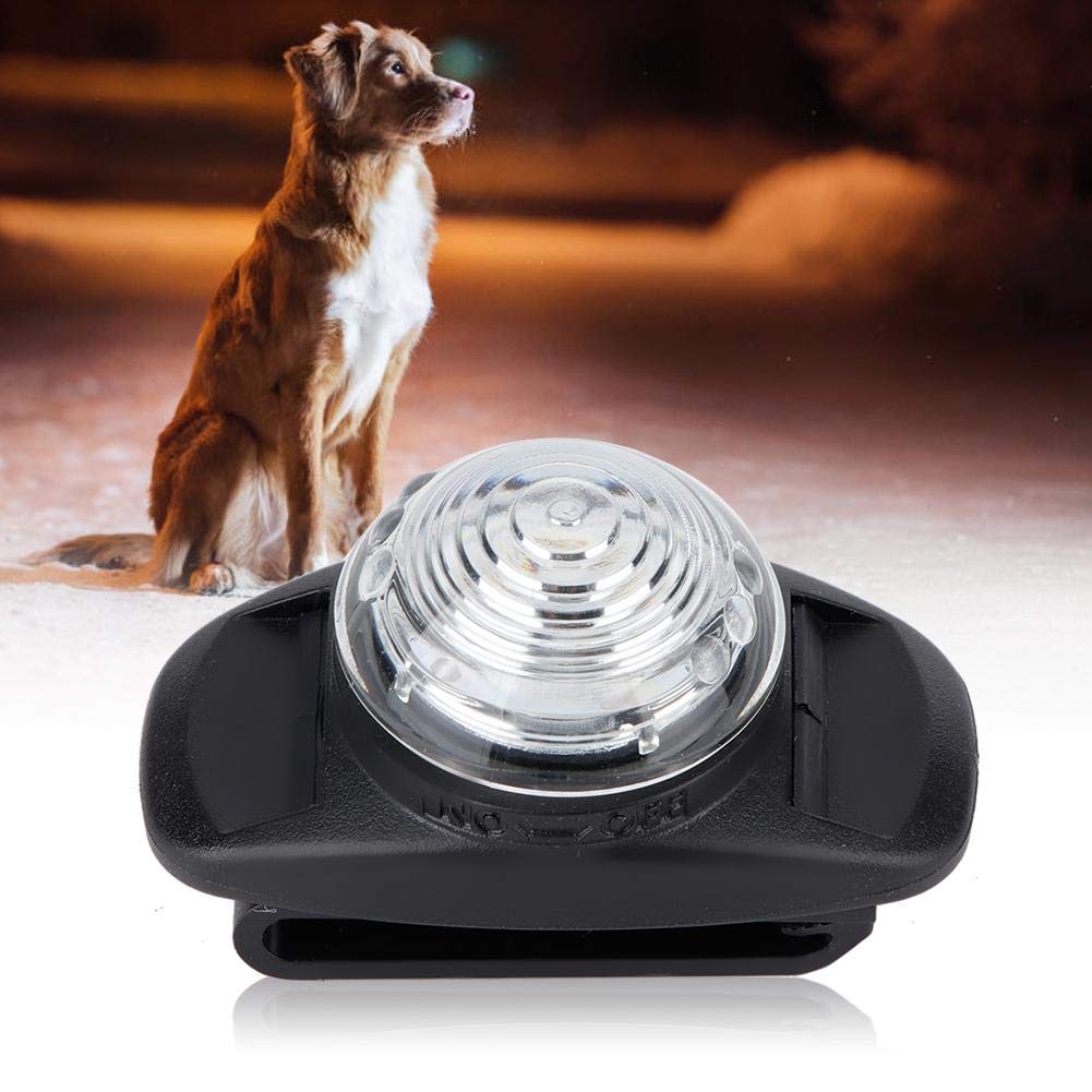 Dog LED Luminous Collar Waterproof ABS Pet Night Anti-lost Collar Light up Collar Adjustable Pets Collar Light Dimmable Dog Ornament(White) White - PawsPlanet Australia