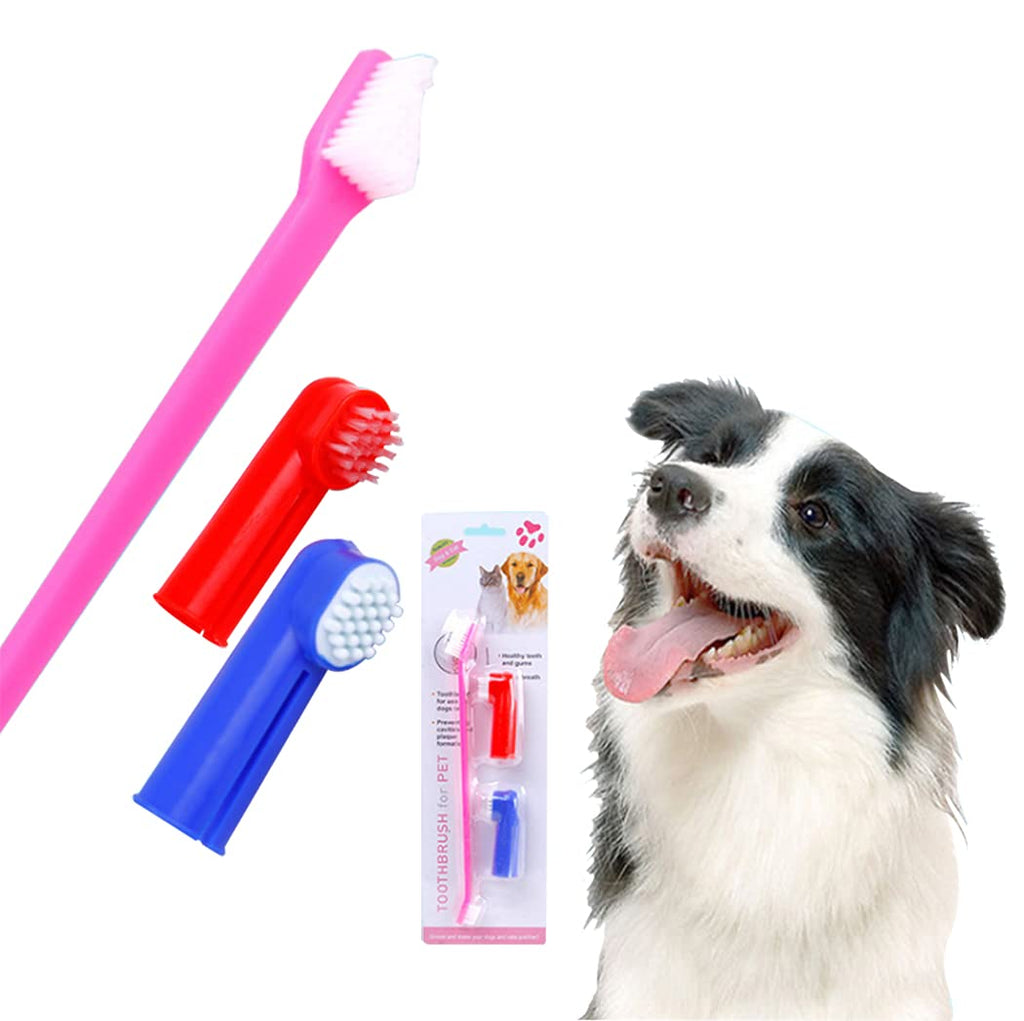 Ranvi Dog Toothbrush Kit, 8-inch Handle and of Super Soft and Rigid Double-Sided Dog Toothbrush，4-Piece Set (4 Double-Sided Brushes + 8-Finger Toothbrush) (Random Color) - PawsPlanet Australia
