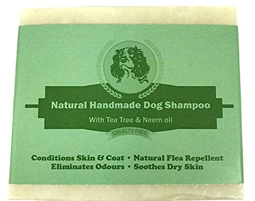 Neem & Tea Tree Dog Shampoo & Conditioner Bar for Sensitive Dry Itchy Skin Antibacterial & Antifungal | Fresh Scent for Smelly Dogs | Repels Fleas | Natural & Hypoallergenic (1 x 80g Bar) 80 g (Pack of 1) - PawsPlanet Australia