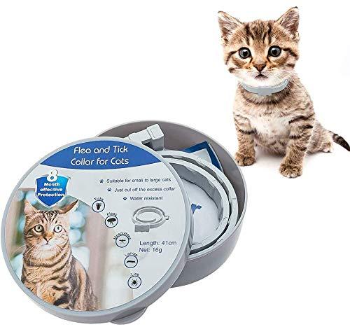 KOOLTAIL Cat Flea and Tick Collar - 8 Months Protection Anti Flea Collars Effective Treatment Adjustable Length for Kittens Cats - PawsPlanet Australia