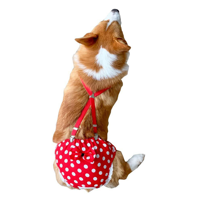 BT Bear Reusable Dog Nappies, Female Dog Nappies Pants Materials Durable Machine Washable Simple Solution For Pet Incontinence & Long Travels M: for waist 38cm～47cm Red Point - PawsPlanet Australia