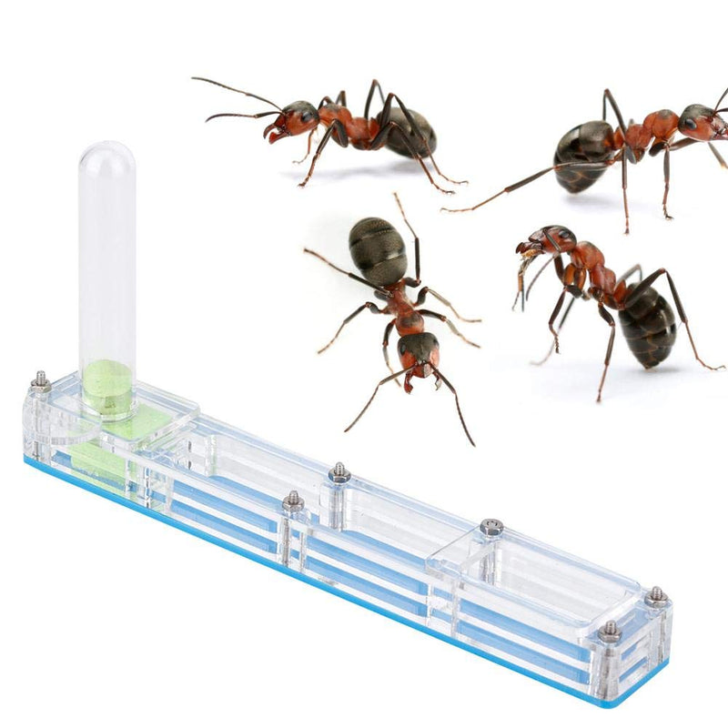 Pssopp Ant House Acrylic Ant Breeding House Nest Formicarium Display Box Transparent Ant Ant Feeding Living Nest Farm Insect Moisturizing Case with Water Tower Moisturizing(Blue) Blue - PawsPlanet Australia