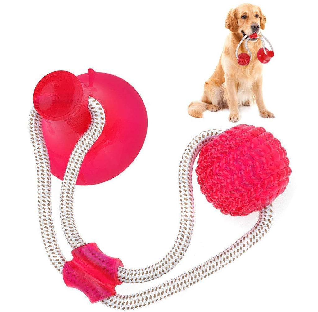 Pet Molar Bite Toy, Suction Cup Dog Toy Rubber Chew Toys Interactive Puppy Training Rope For Teeth Cleaning Pet Supplies (Red) Red - PawsPlanet Australia