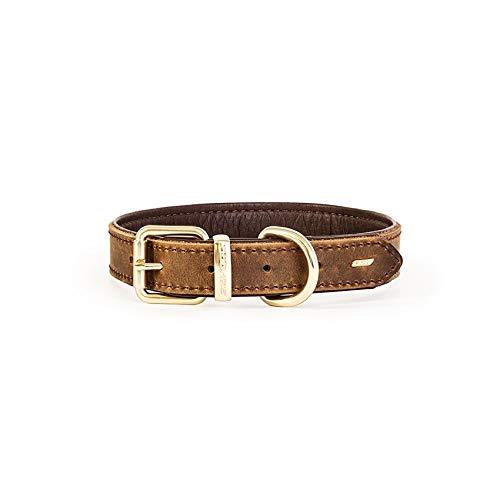 EzyDog Item Details Oxford Premium Adjustable Leather Dog Collar - Large - Brown - PawsPlanet Australia