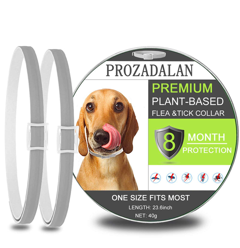 PROZADALAN Flea and Tick Collar for Dogs, Waterproof Dog Anti Flea Collar, Natural & Safe, 63.5cm - PawsPlanet Australia