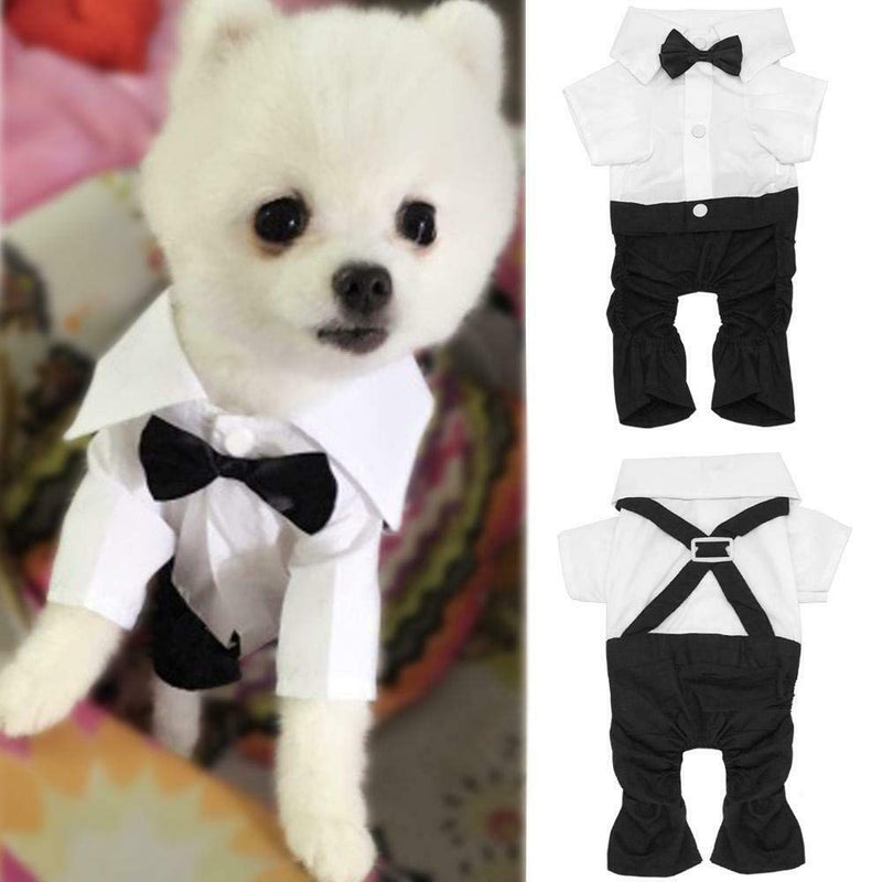 SpeedPets Dog Suit with Bow Tie Dog clothes Summer for Puppy Pet Clothing (Medium) M - PawsPlanet Australia