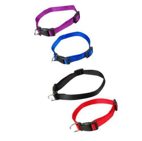 SpeedPets Durable Dog Nylon Pet Collar (Large, Purple) Large - PawsPlanet Australia