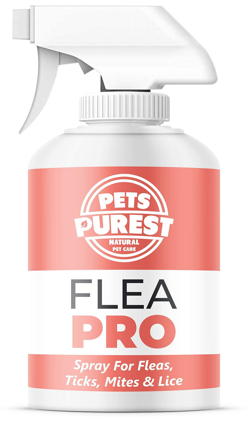 Pets Purest Flea Treatment For Dogs & Cats 100% Natural Mite, Lice, & Tick Remover Flea Spray for Cat, Dog, Pet, Puppy, Kittens, Rabbits, Ferrets, & Horse - Vet Approved - 500ml - PawsPlanet Australia