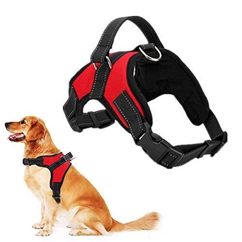 Pet Dog Harness No Pull Adjustable Pet Walking Harness Dog Body Vest Comfort Control for Dogs in Walking Training-Red-M-Chest 52-62cm Neck 49-56cm M - PawsPlanet Australia