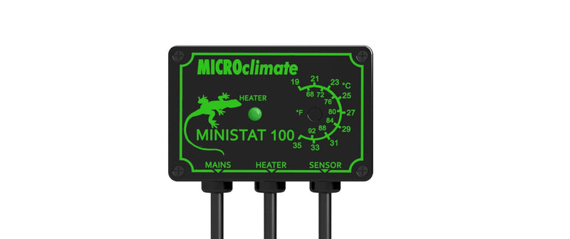 Microclimate Ministat 100 Reptile Thermostat - PawsPlanet Australia