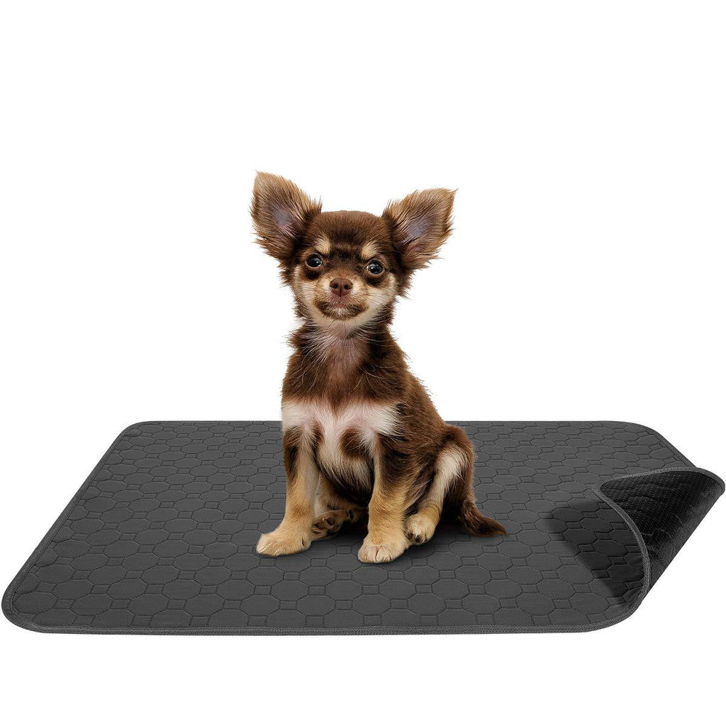 POPETPOP 2 Pcs Dog Pads - Non Slip Puppy Pee Mats with Ultra Absorbent| Reusable Waterproof Pet Pad for Training, Travel, Whelping, Housebreaking, Incontinence, Crate, Floor - PawsPlanet Australia